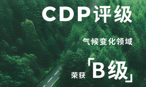 利润预增7亿+，CDP评级B级：瑞浦兰钧的“绿色竞争力”是如何炼成的？