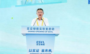陆佳政院士：非实证型储能，无法托付于电网