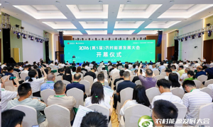 2026（第五届）农村能源发展大会在武汉举行